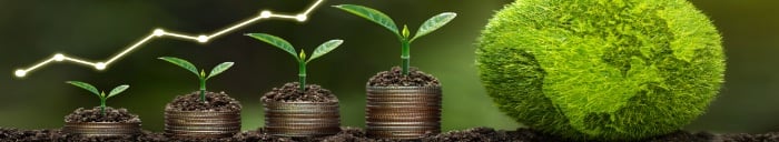 Sustainable Growth